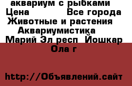 аквариум с рыбками › Цена ­ 1 000 - Все города Животные и растения » Аквариумистика   . Марий Эл респ.,Йошкар-Ола г.